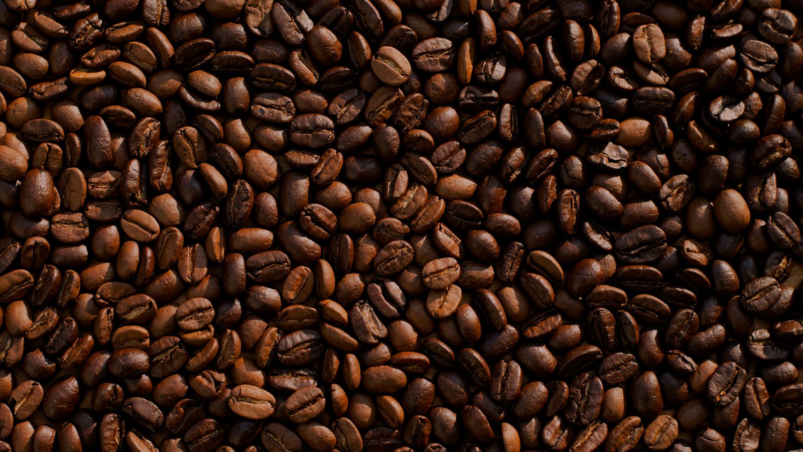 CK Belgian Coffee nicotine pouches