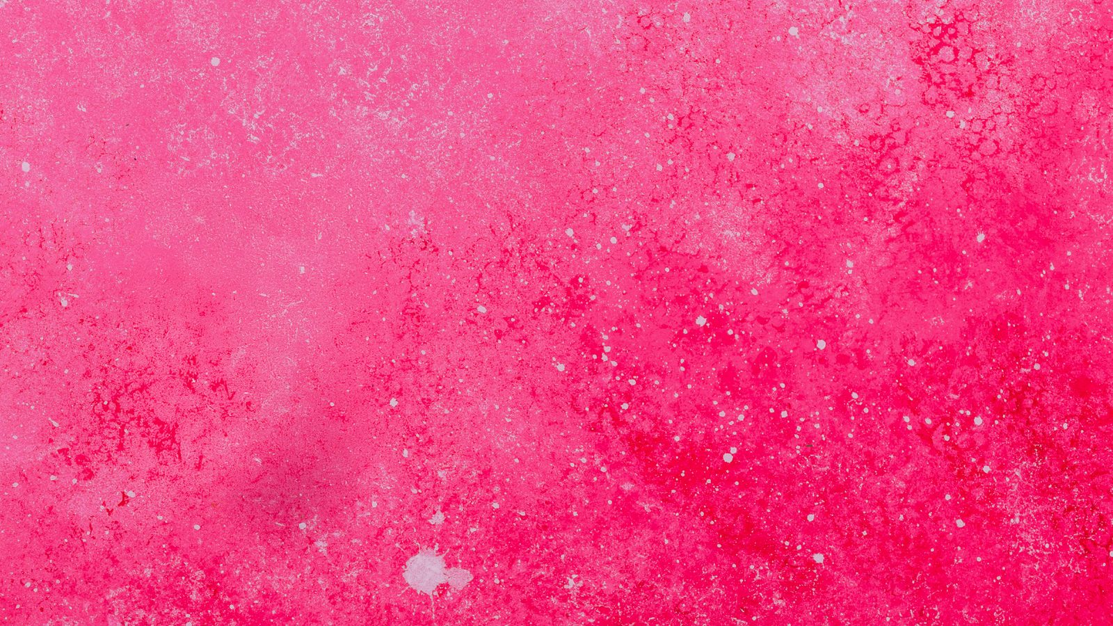 CK Lush Ice nicotine pouches
